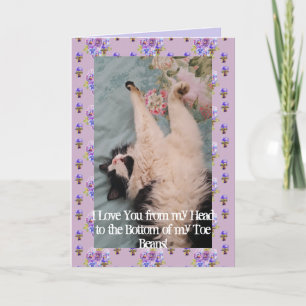 Tuxedo Cat Cute I Kärlek du Tobe Beans Card Kort