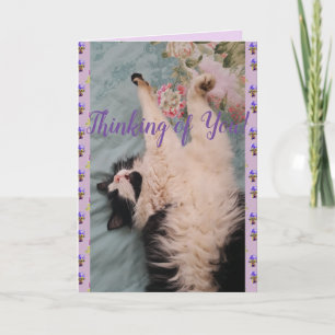 Tuxedo Cat Cute Luddig fundering på ditt kort