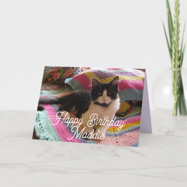 Tuxedo Cat Cute med Söt Crochet Matta Card Kort (Framsida)