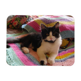 Tuxedo Cat Cute med Söt Crochet Matta Card Magnet