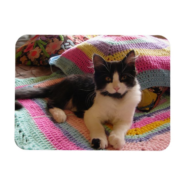 Tuxedo Cat Cute med Söt Crochet Matta Card Magnet (Horisontell)