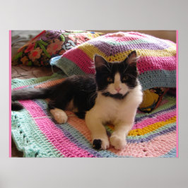 Tuxedo Cat Cute Sleeping Crochet Matta-katter Post Poster