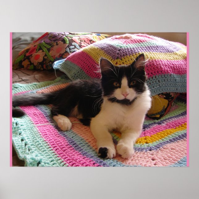 Tuxedo Cat Cute Sleeping Crochet Matta-katter Post Poster (Framsidan)