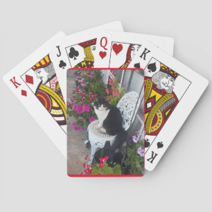 Tuxedo Cat Cute Söt Flowers Cats Birthday Casinokort