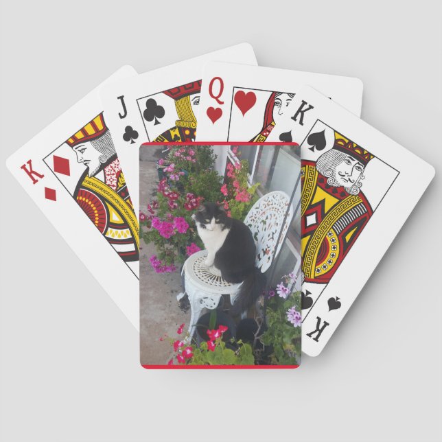Tuxedo Cat Cute Söt Flowers Cats Birthday Casinokort (Baksidan)