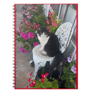 Tuxedo Cat Cute Söt Flowers - födelsekort Anteckningsbok