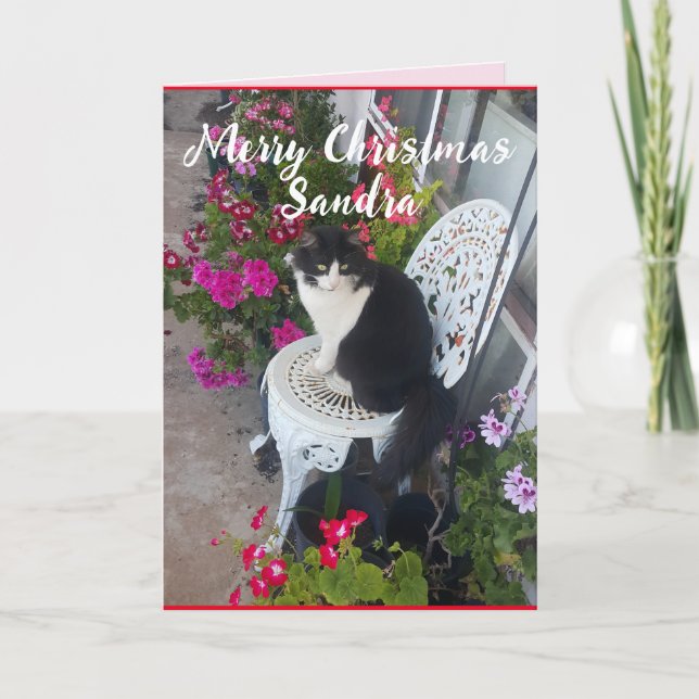Tuxedo Cat Cute Söt Flowers Kattjulkort Kort (Framsida)