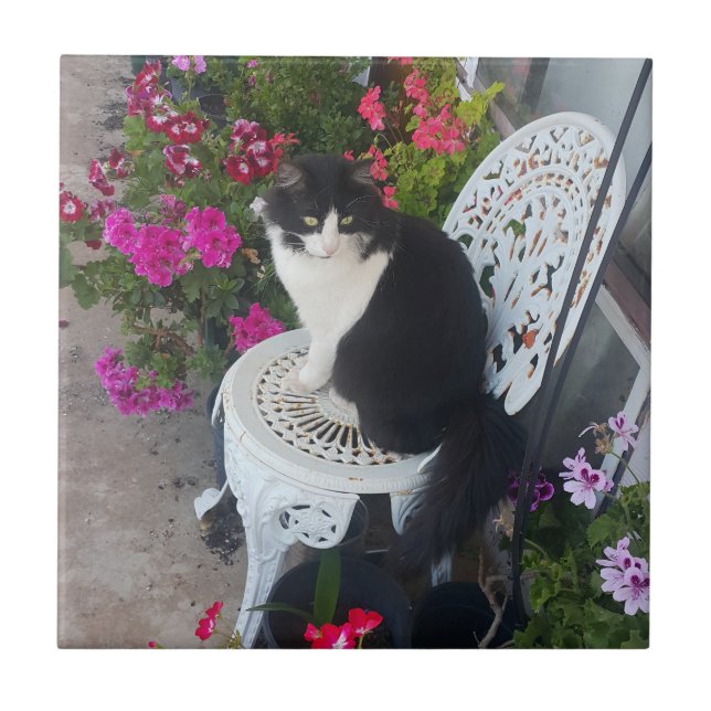 Tuxedo Cat Cute with Pretty Flowers Black Cats Kakelplatta (Framsidan)
