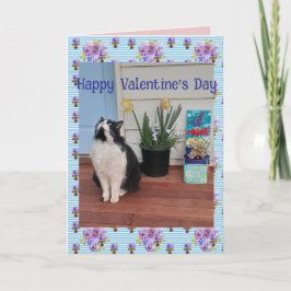 Tuxedo Cat Funny Cute Cats Valentines Day Blue Kort