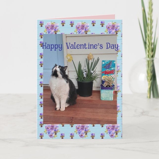 Tuxedo Cat Funny Cute Cats Valentines Day Blue Kort (Framsida)