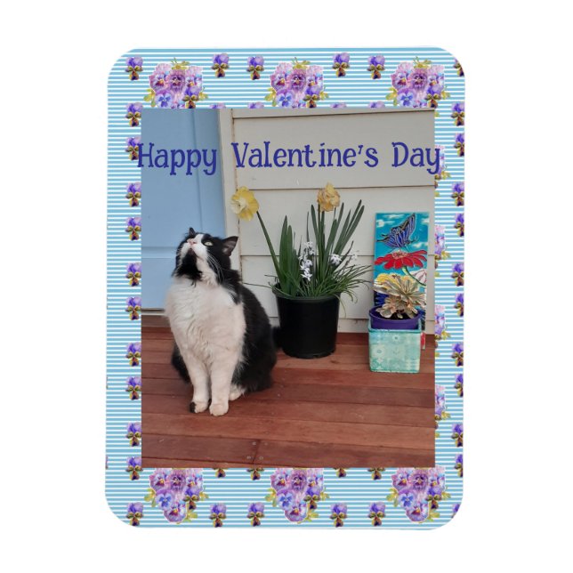 Tuxedo Cat Funny Cute Cats Valentines Day Blue Magnet (Vertikal)