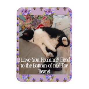 Tuxedo Cat Funny Kärlek You Quote cat Magnet