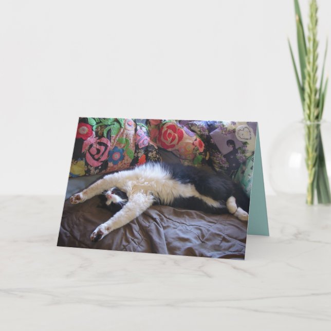 Tuxedo Cat Funny Mexican Wave Cute Birthday Card Kort (Framsida)