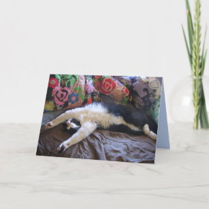 Tuxedo Cat Funny Mexican Wave Cute Birthday Card Kort