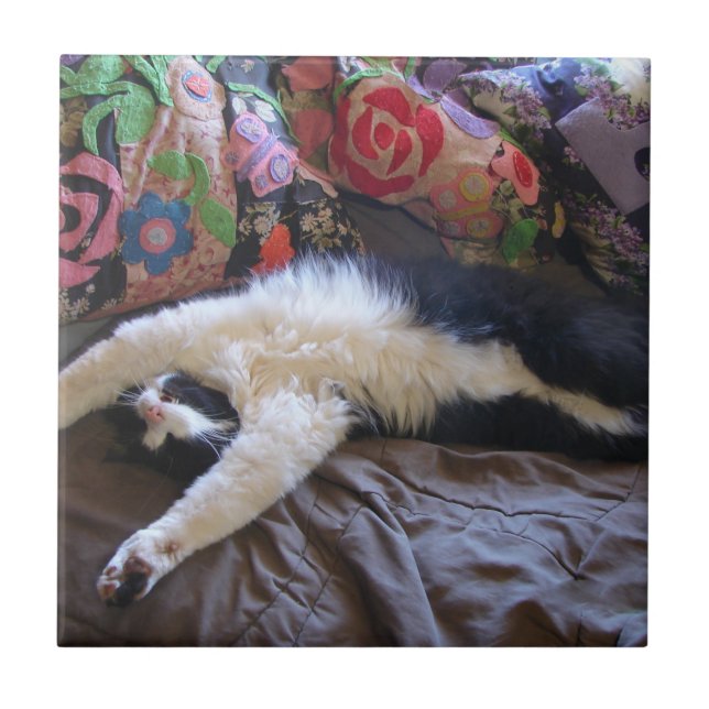 Tuxedo Cat Funny Mexican Wave Cute Birthday Cerami Kakelplatta (Framsidan)