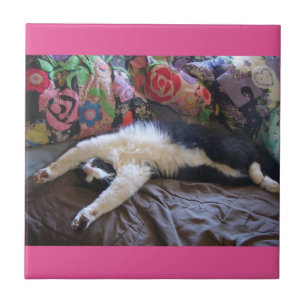 Tuxedo Cat Funny Mexican Wave Cute Birthday Kakelplatta