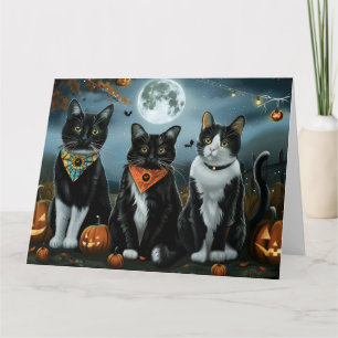 Tuxedo Cat Halloween Spooky Kort