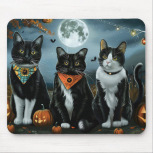 Tuxedo Cat Halloween Spooky Musmatta
