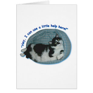 Tuxedo Cat Humor Hälsningskort