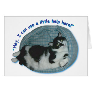Tuxedo Cat Humor Hälsningskort