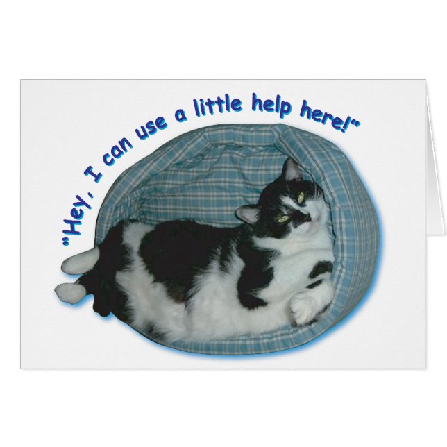 Tuxedo Cat Humor Hälsningskort (Framsidan Horizontal)