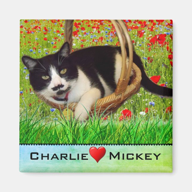 Tuxedo Cat i Basket Fridge Magnet (Framsidan)