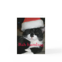 Tuxedo Cat i Santa Hat