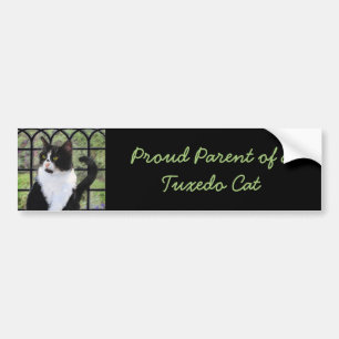 Tuxedo Cat in Window Painting Original Animal Art Bildekal