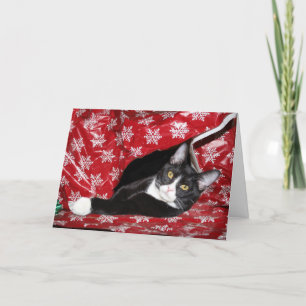 Tuxedo Cat-jul Helgkort