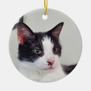 Tuxedo Cat Julgransprydnad Keramik