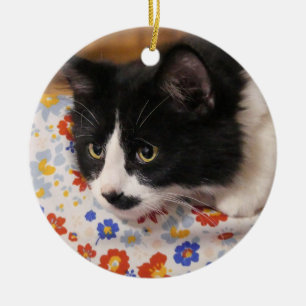 Tuxedo Cat Julgransprydnad Keramik