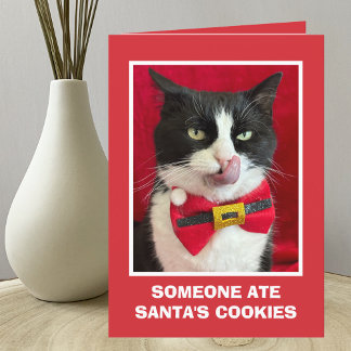 Tuxedo Cat-julkort Kort