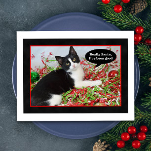 Tuxedo Cat julvykort Helg Vykort