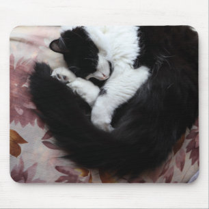 Tuxedo Cat Kattunge Black and White Caturday Musmatta