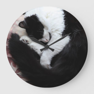 Tuxedo Cat Kattunge Black and White Caturday Stor Klocka