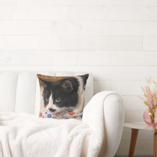 Tuxedo Cat Kudde