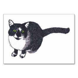 Tuxedo Cat-läsande flashkort för vuxnor Bordsnummer
