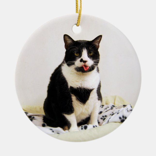 Tuxedo Cat Ornament (Framsidan)