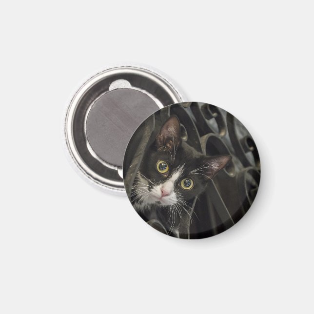 Tuxedo Cat Peaking through Wrodry Järn Fence Magnet (Front/Back)