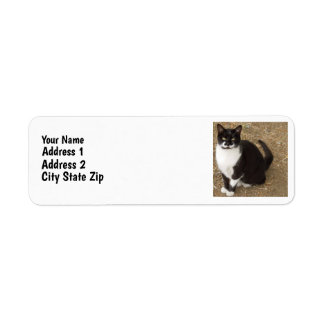 Tuxedo Cat Returadress Etikett