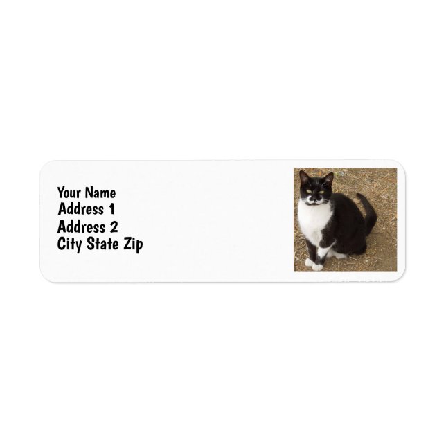 Tuxedo Cat Returadress Etikett (Framsidan)