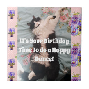 Tuxedo Cat Sleeping Funny Cats Lycklig Dance Tile Kakelplatta