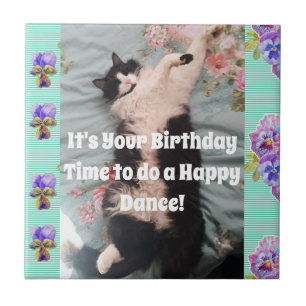 Tuxedo Cat Sleeping Funny Cats Lycklig Dance Tile Kakelplatta