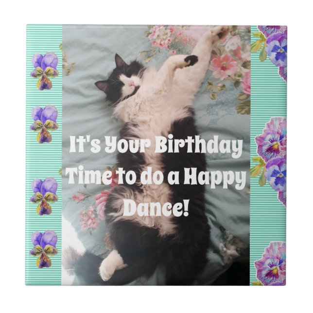 Tuxedo Cat Sleeping Funny Cats Lycklig Dance Tile Kakelplatta (Framsidan)