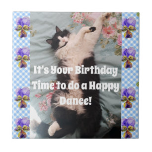 Tuxedo Cat Sleeping Funny Cats Lycklig Dance Tile Kakelplatta