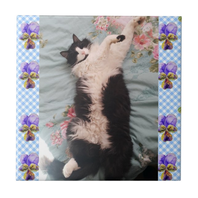 Tuxedo Cat Sleeping Funny Cats viola Ceramic Tile Kakelplatta (Framsidan)