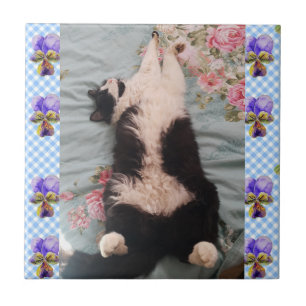 Tuxedo Cat Sleeping Funny Cats viola Ceramic Tile Kakelplatta