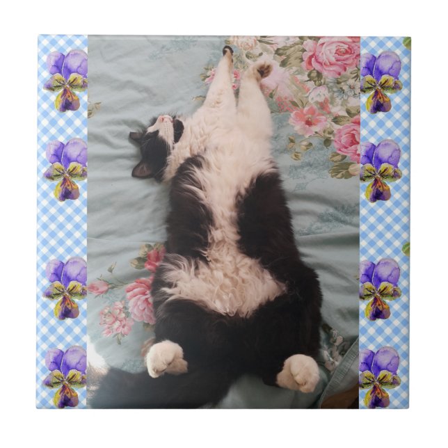 Tuxedo Cat Sleeping Funny Cats viola Ceramic Tile Kakelplatta (Framsidan)