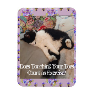 Tuxedo Cat Sleeping Funny Quote katter Magnet