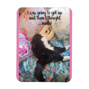 Tuxedo Cat Sleeping Funy Sstickande katter Magnet